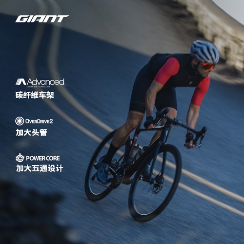 捷安特(GIANT)Defy ADV Pro 2碳纤维24速耐力型弯把公路自行车