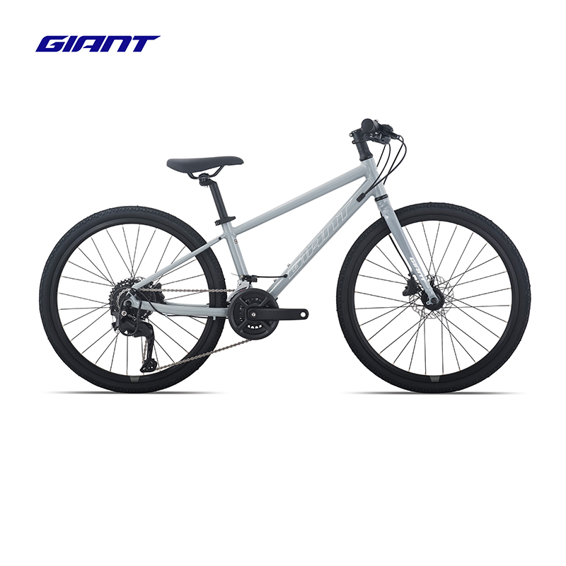 捷安特（GIANT）Fastroad 24 JR 1 铝合金24寸18速青少年自行车