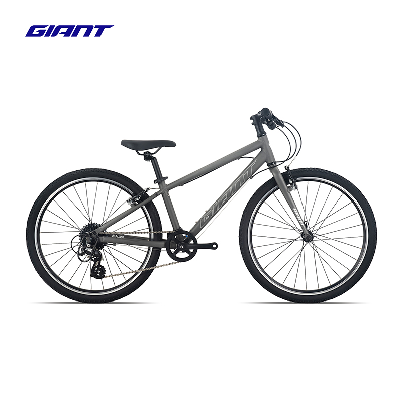 捷安特(GIANT)Fastroad 24 JR 2平把24寸铝合金8速青少年自行车