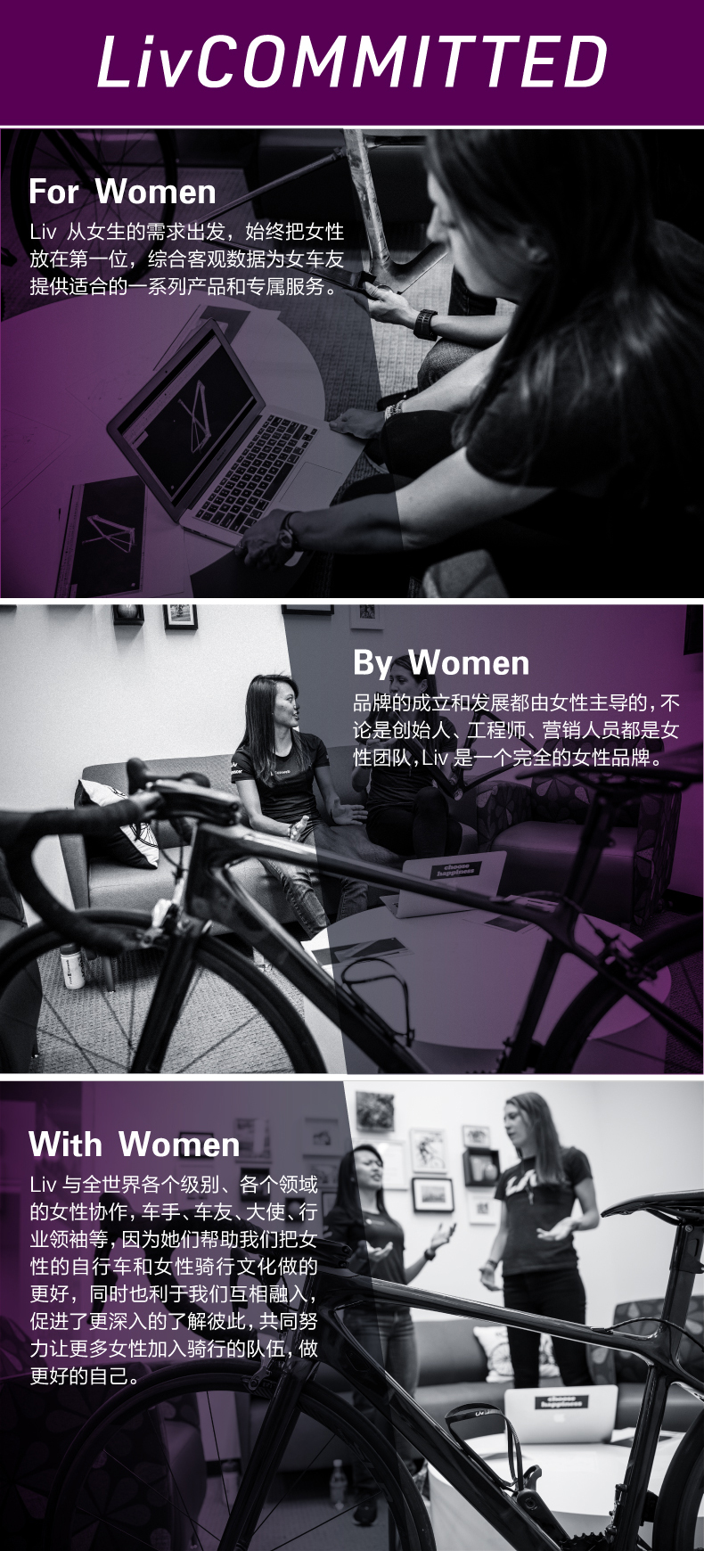 内容图片