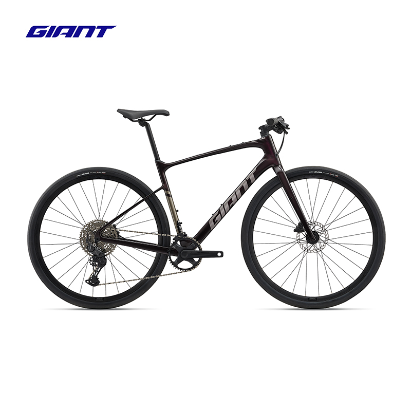 捷安特（GIANT）Fastroad AR ADV 2油碟10速平把公路自行车