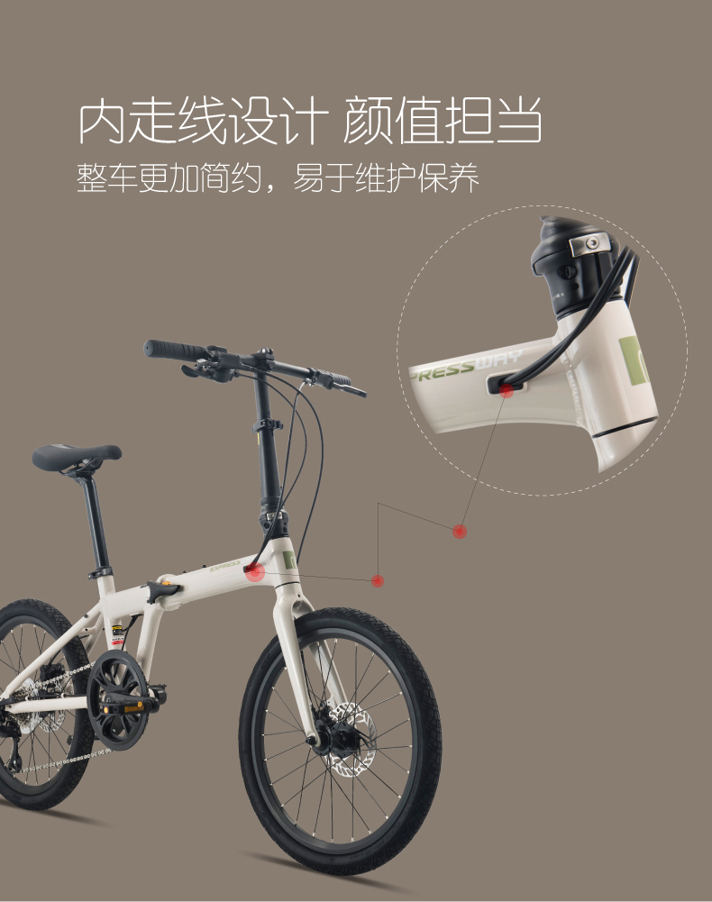 内容图片