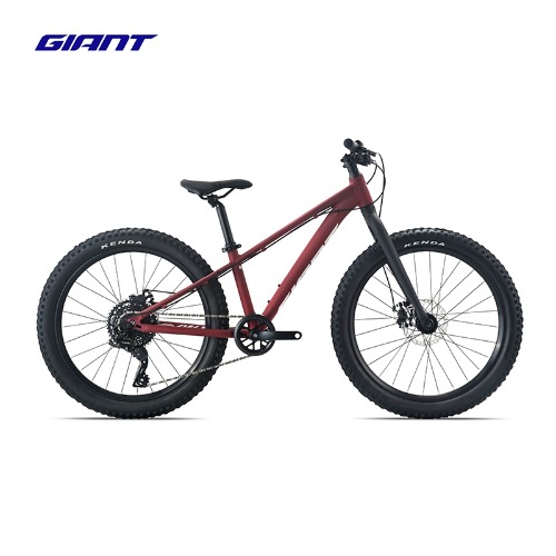 GIANT捷安特STP 24铝合金8速机械碟刹24寸变速青少年山地自行车
