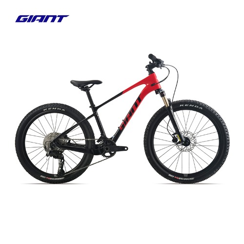 GIANT 捷安特 XTC ADV 24油压碟刹碳纤维车架11速青少年自行车