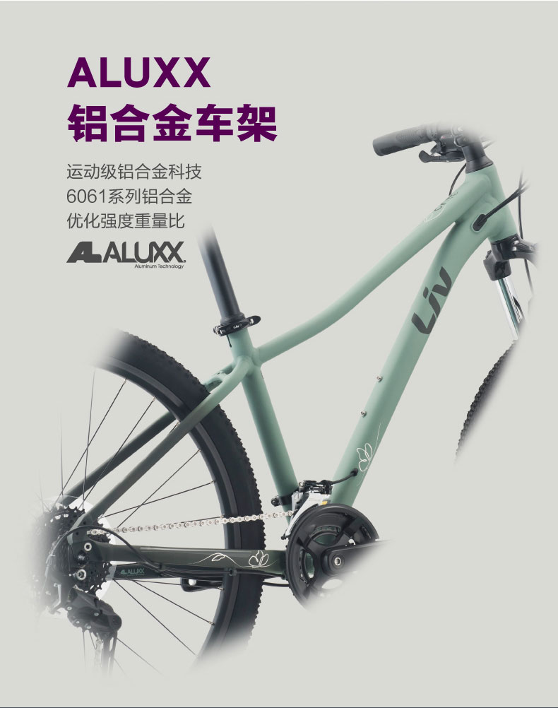 内容图片