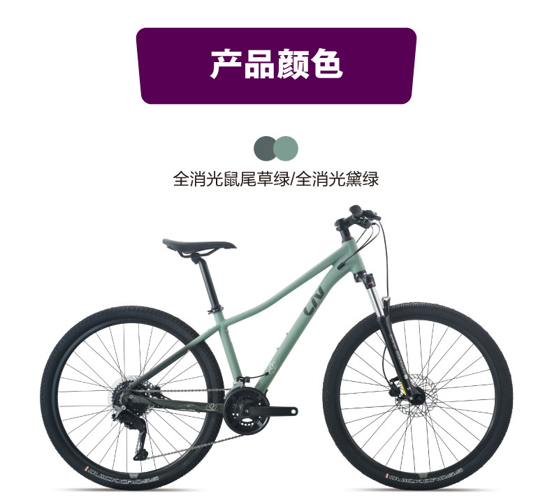 内容图片