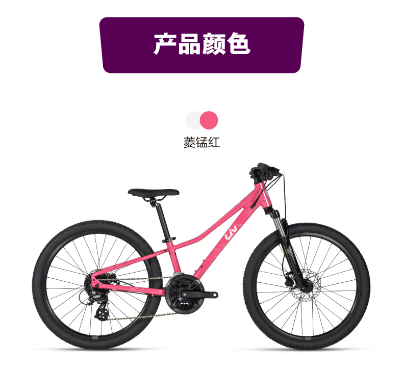 内容图片