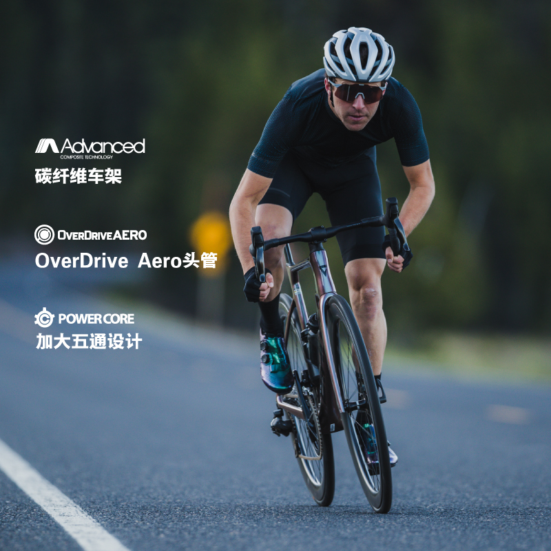 捷安特（GIANT）Propel ADV 1碳纤维24速电变空气力学公路自行车
