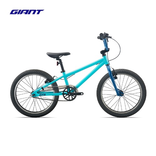 Giant捷安特GFR 20轻量铝合金V刹20寸青少年儿童自行车