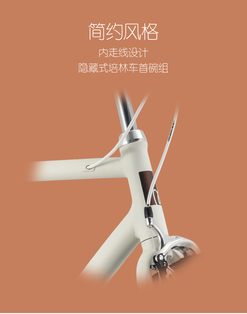 内容图片