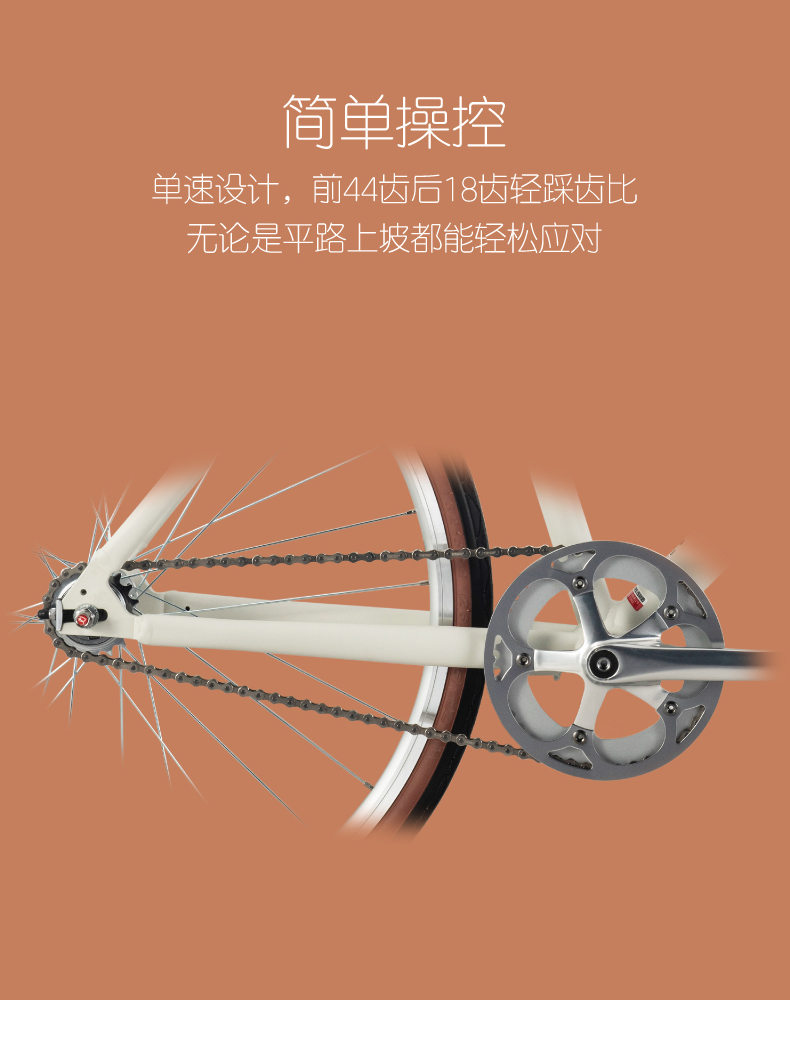 内容图片