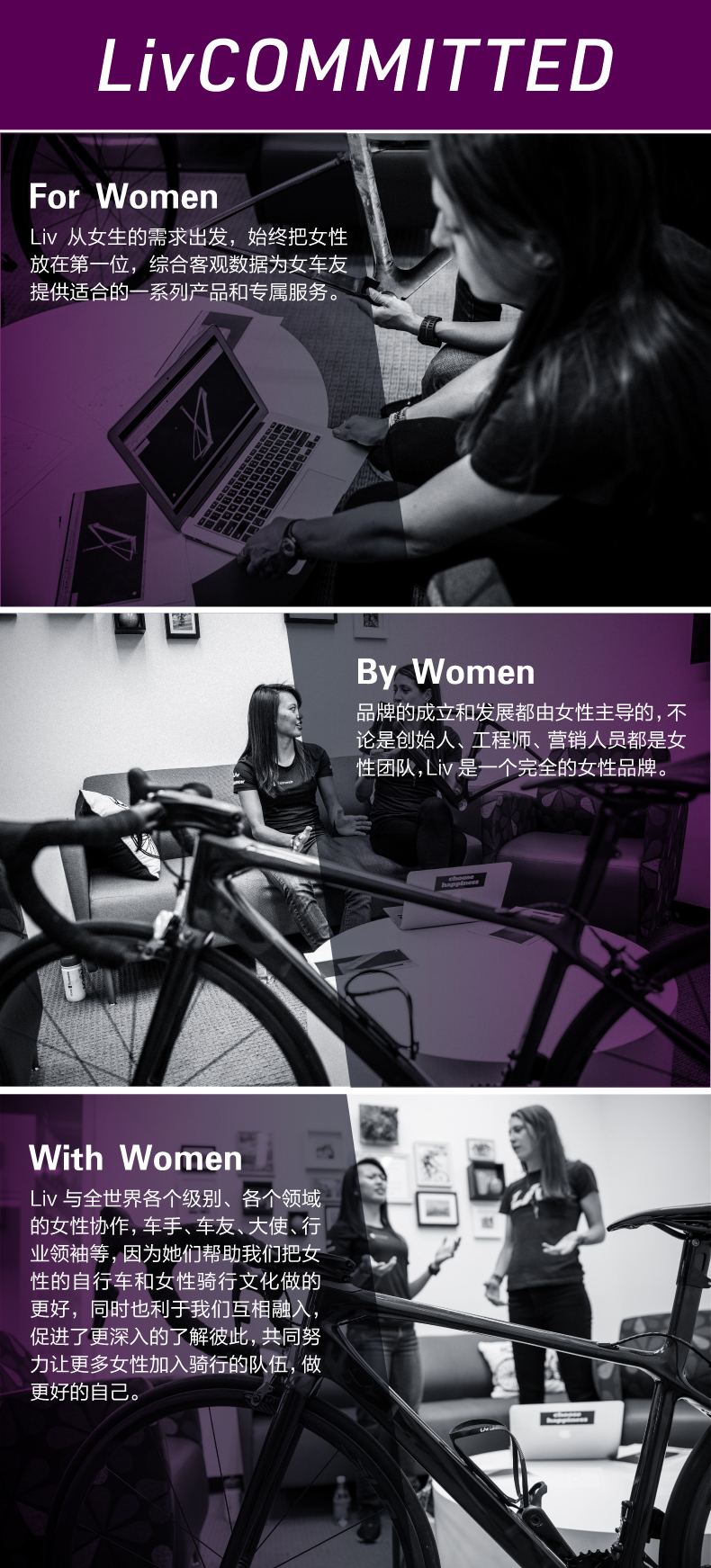 内容图片