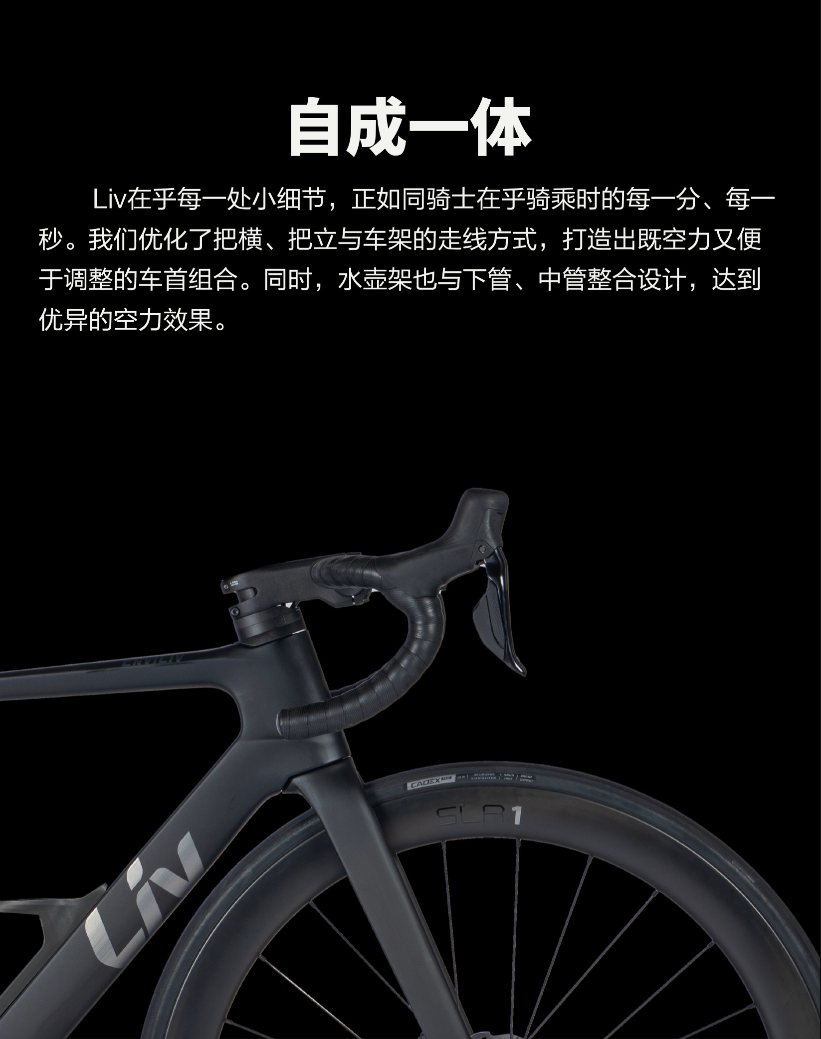 内容图片
