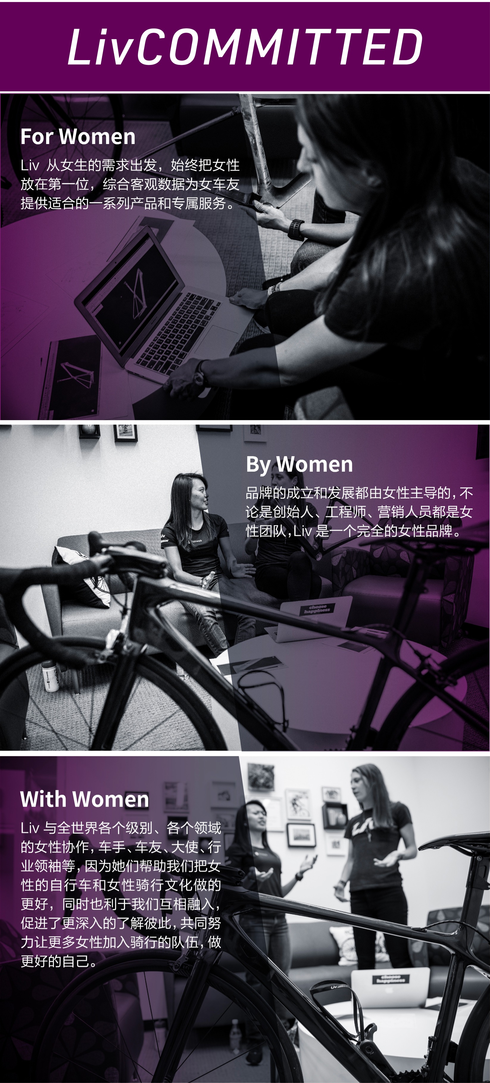 内容图片