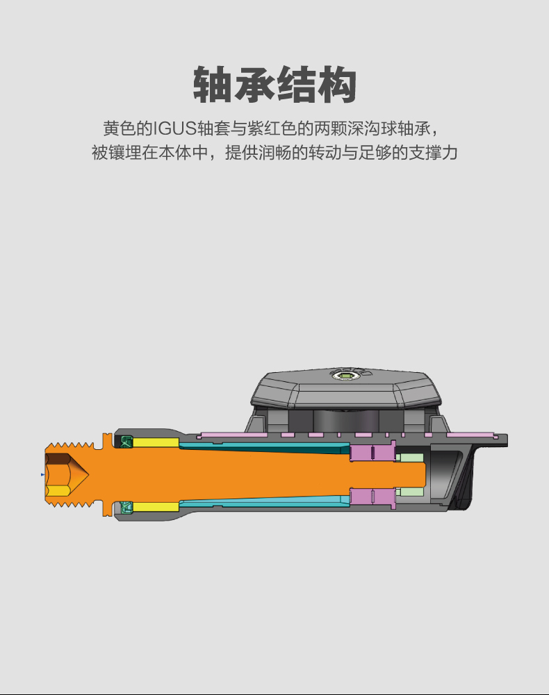 内容图片