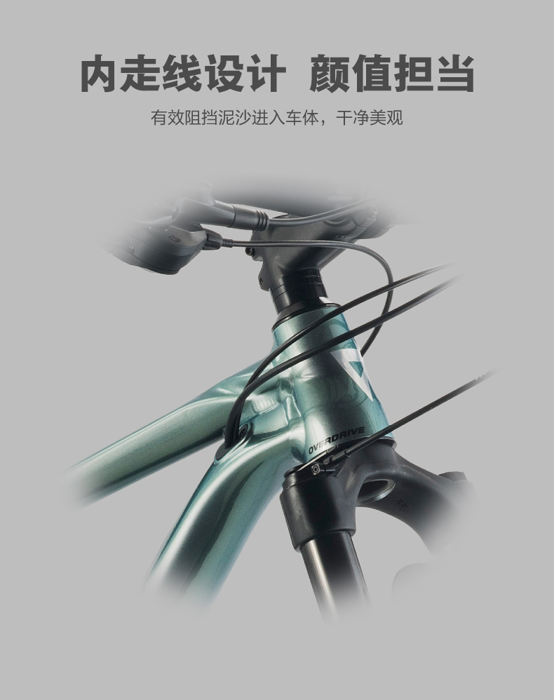 内容图片