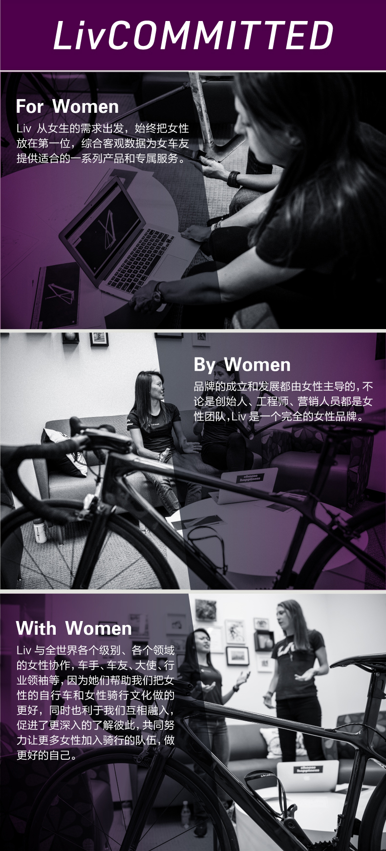 内容图片