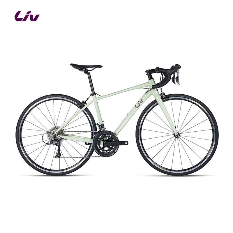 丽以芙（Liv）Avail 2-GC碳纤维前叉16速舒适女士弯把公路自行车