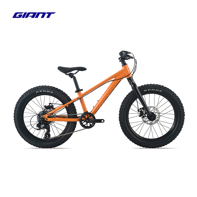 捷安特(GIANT)STP 20铝合金20寸7速机械碟刹土坡车青少年自行车