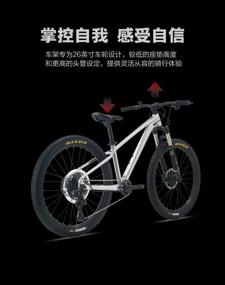 内容图片