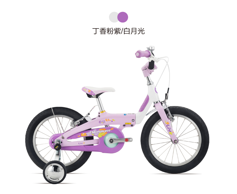 内容图片