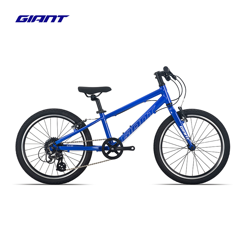 捷安特（GIANT）Fastroad 20铝合金8速童车V刹变速青少年自行车