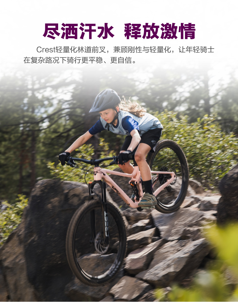 内容图片