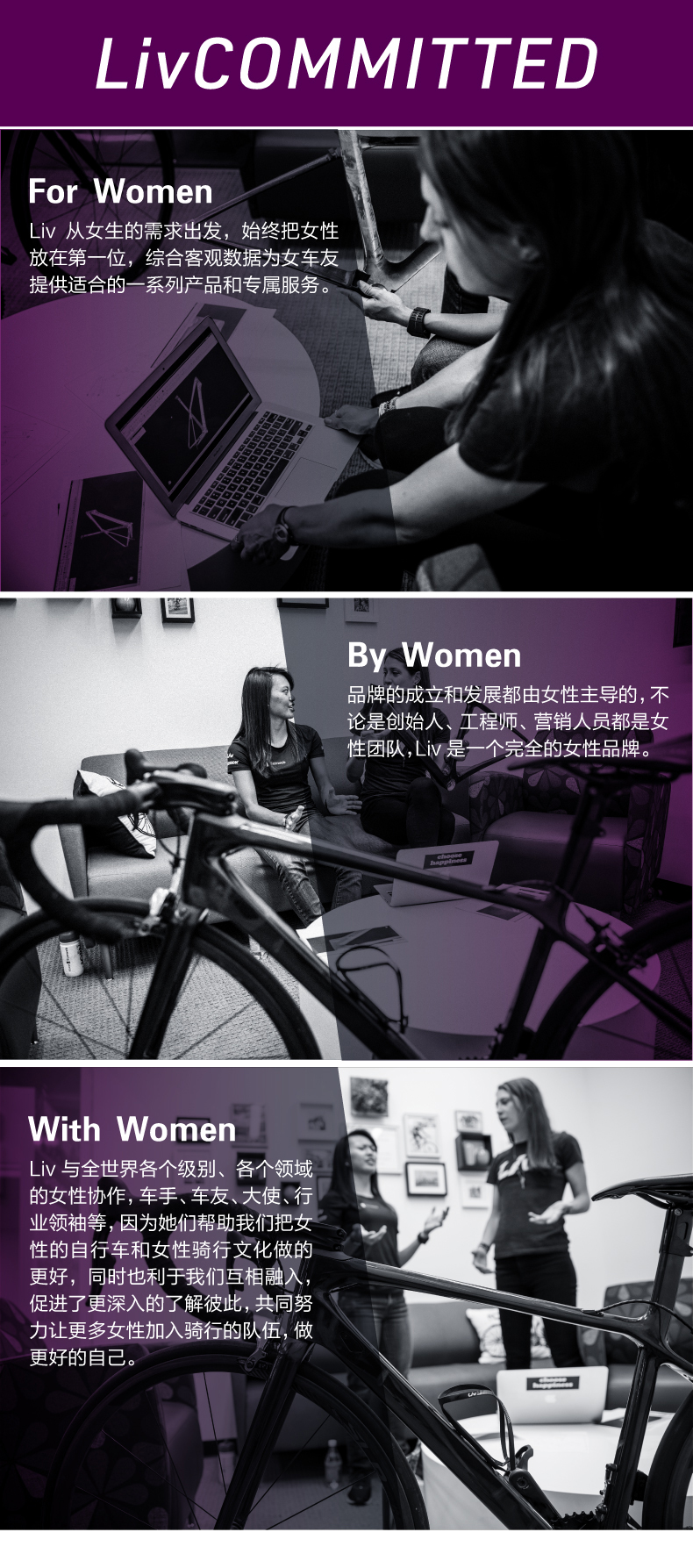内容图片