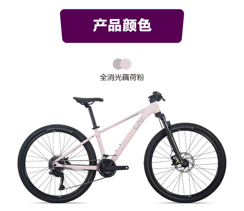 内容图片