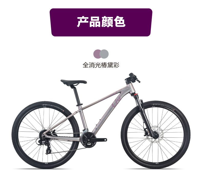 内容图片