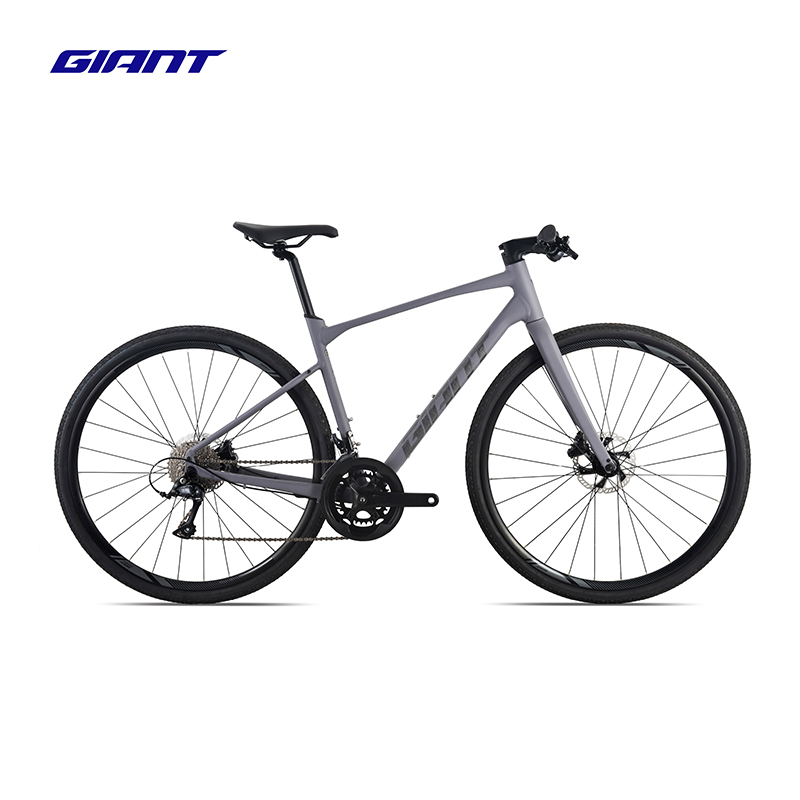 捷安特（GIANT）新款Revolt-F 2铝合金18速油碟平把公路自行车