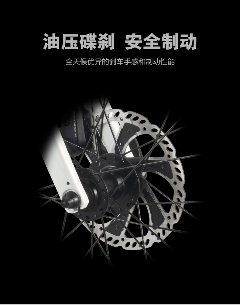 内容图片