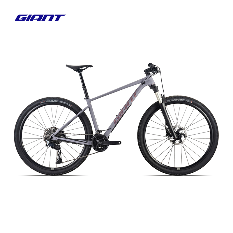捷安特(GIANT)新款XTC SLR 2 油碟22速可锁定避震XC越野山地自行车