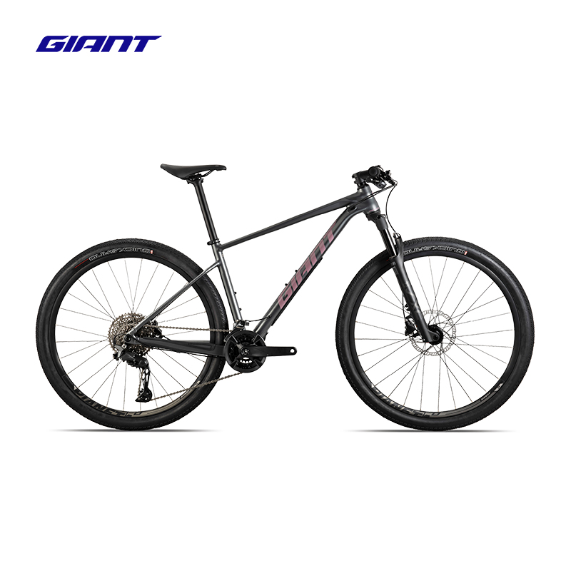 捷安特(GIANT)XTC SLR Classic铝合金22速XC越野竞技山地自行车