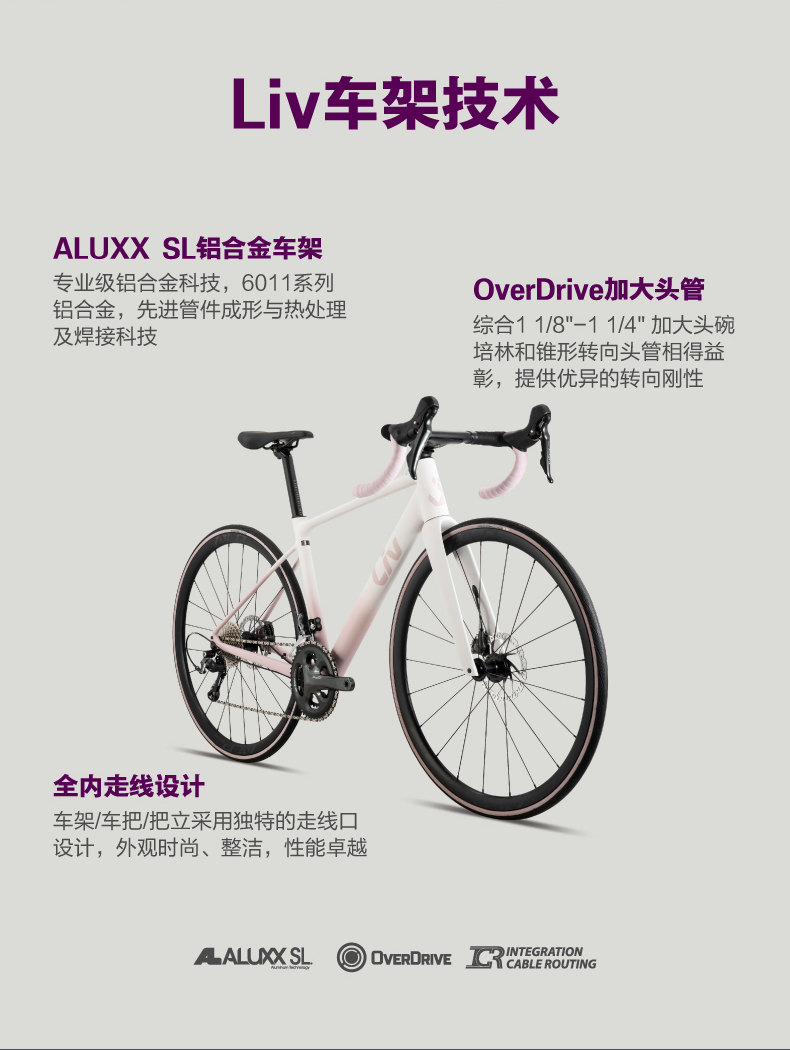 内容图片