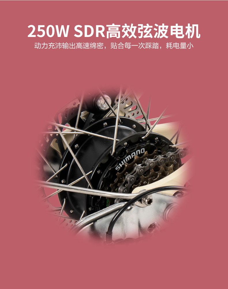内容图片