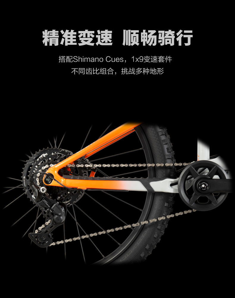 内容图片