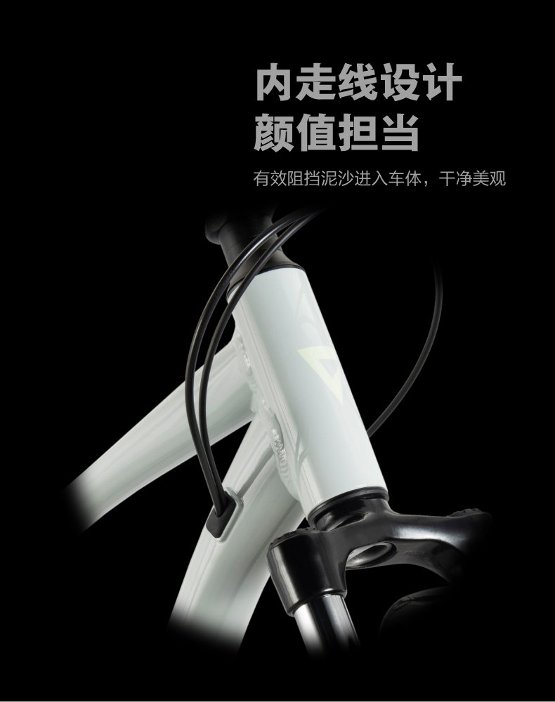 内容图片