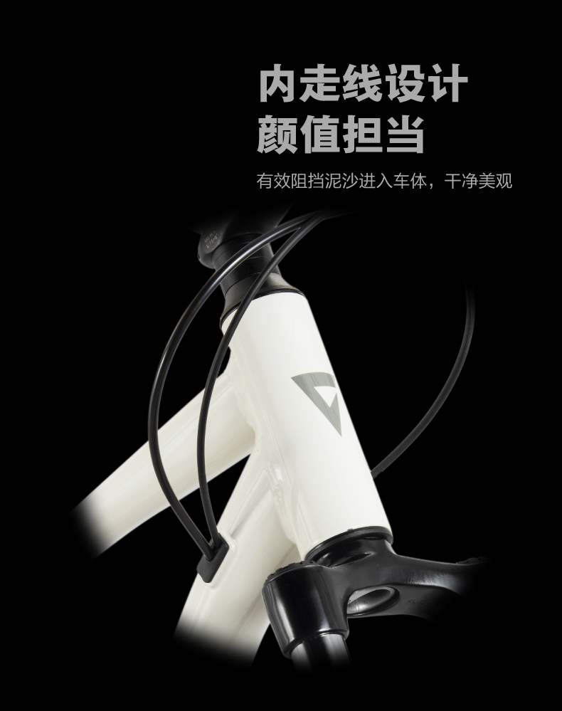 内容图片