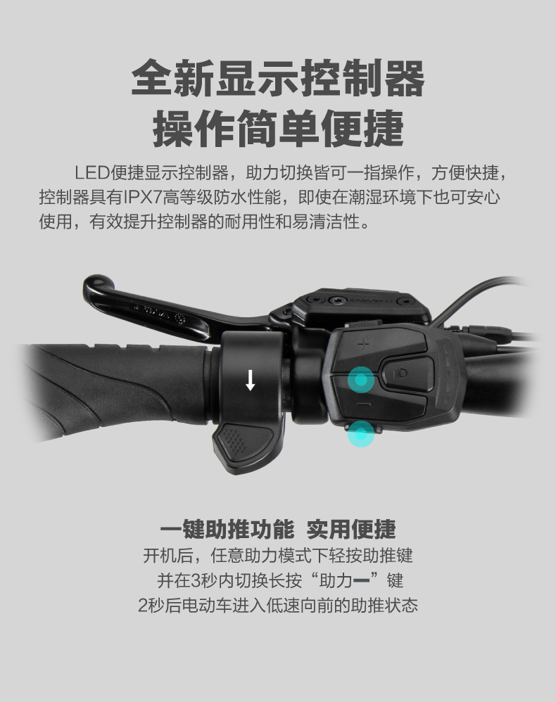 内容图片