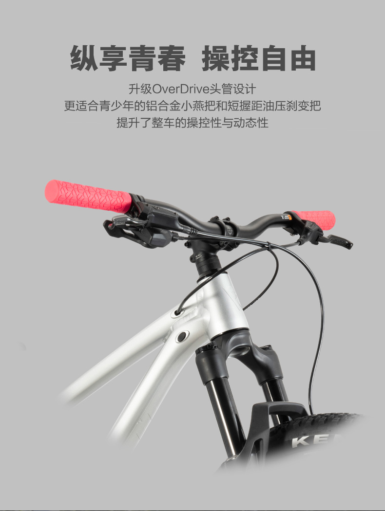 内容图片
