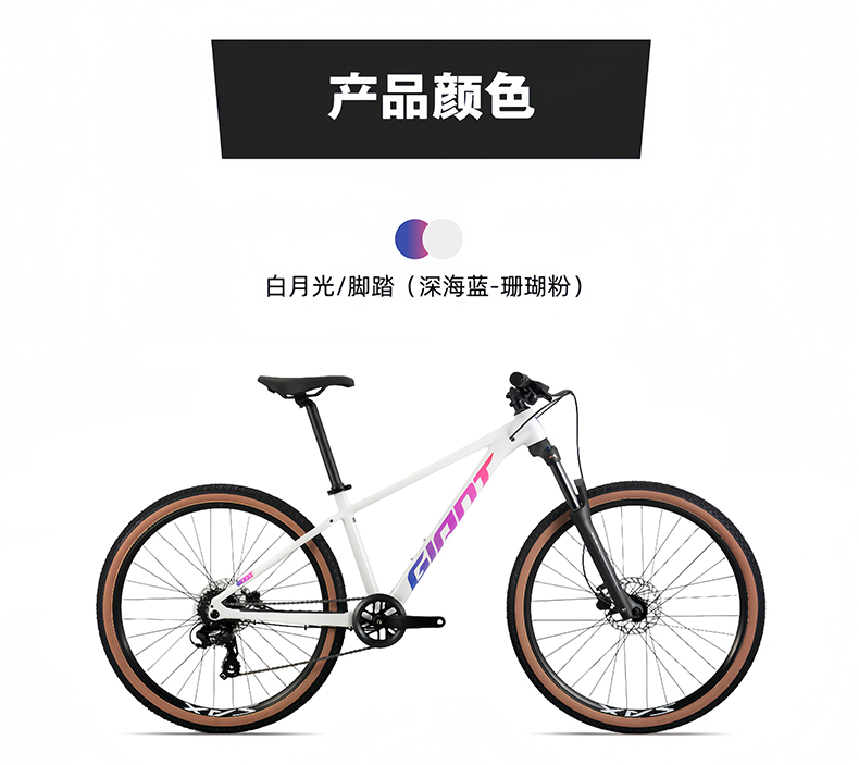 内容图片