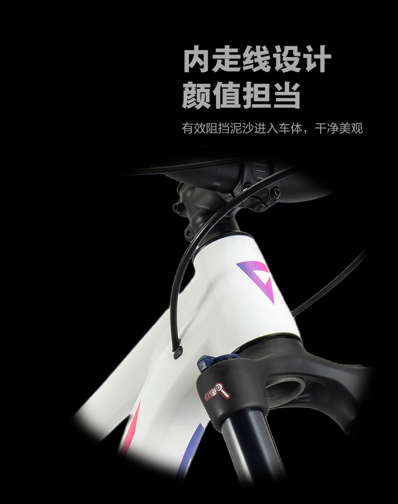 内容图片