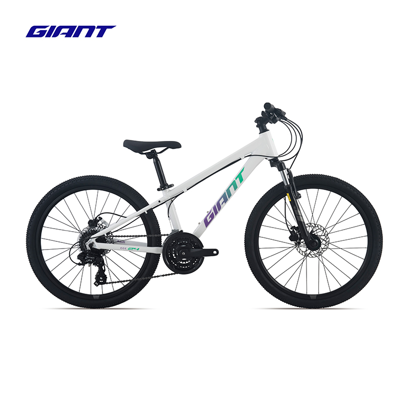 捷安特(GIANT)ATX 24-D 1铝合金24寸24速油压碟刹避震青少年山地自行车