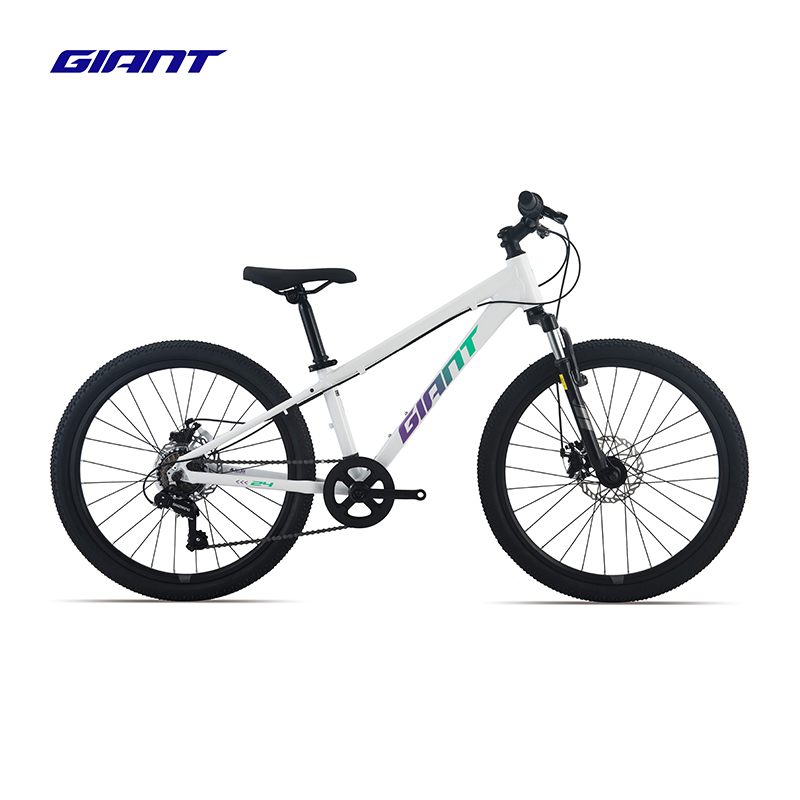 捷安特(GIANT)ATX 24-D 2铝合金24寸7速机械碟刹避震青少年山地自行车