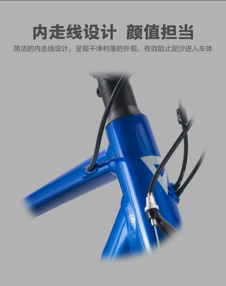 内容图片