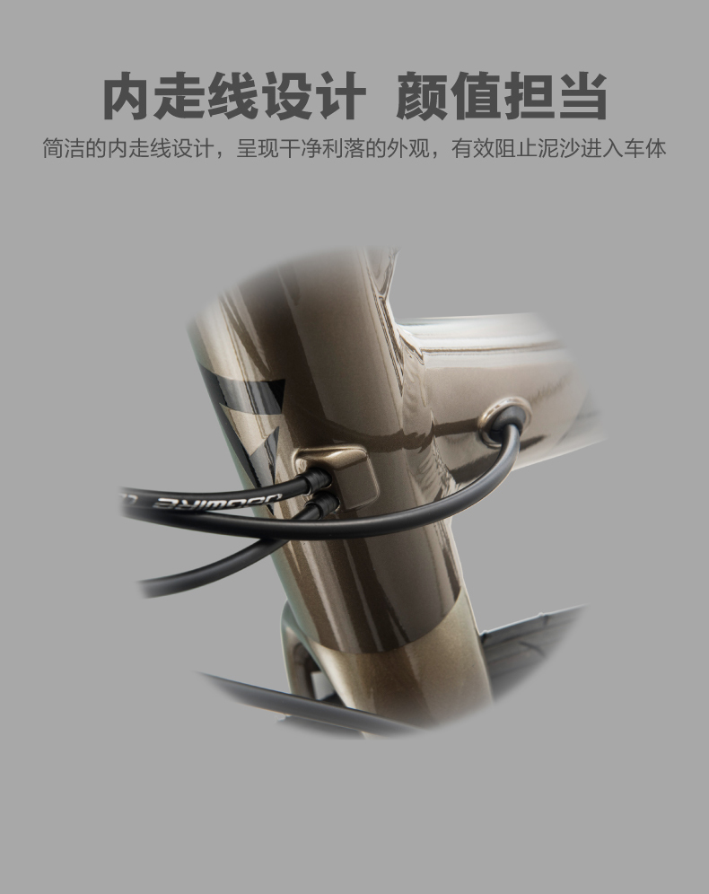 内容图片
