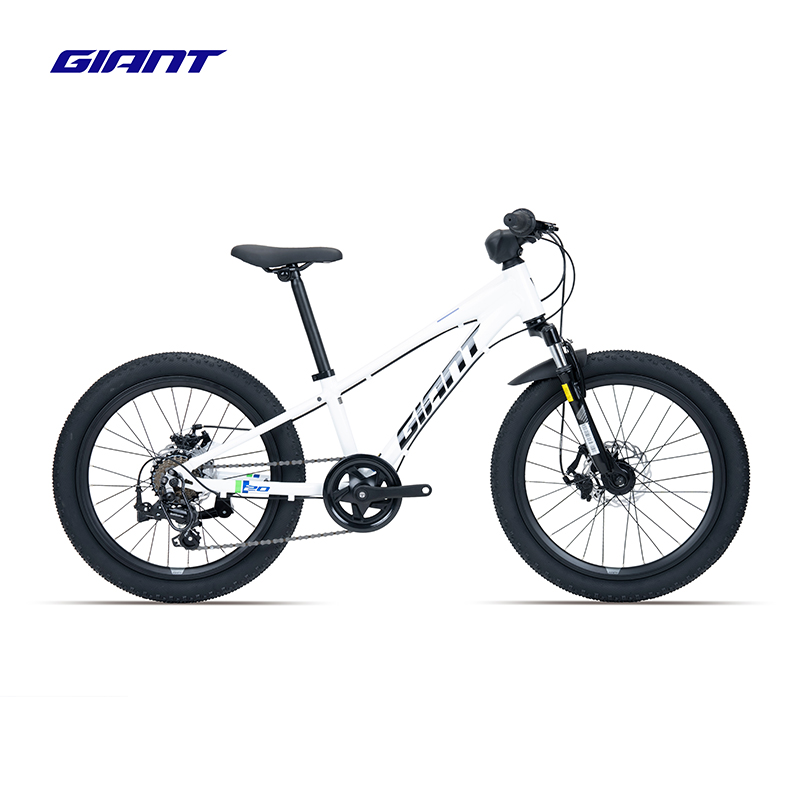捷安特(GIANT)XTC 20-D铝合金20寸7速机械碟刹变速青少年自行车