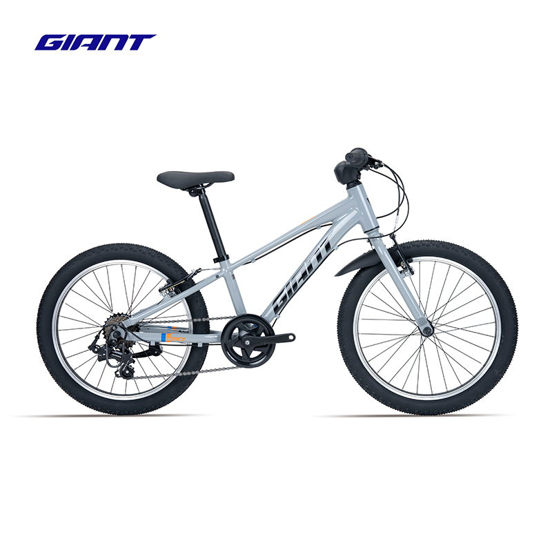 捷安特（GIANT）XTC 20铝合金20寸7速V刹变速青少年自行车