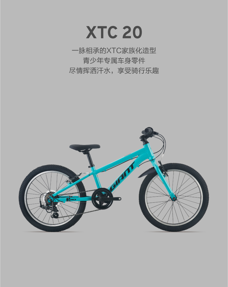 内容图片